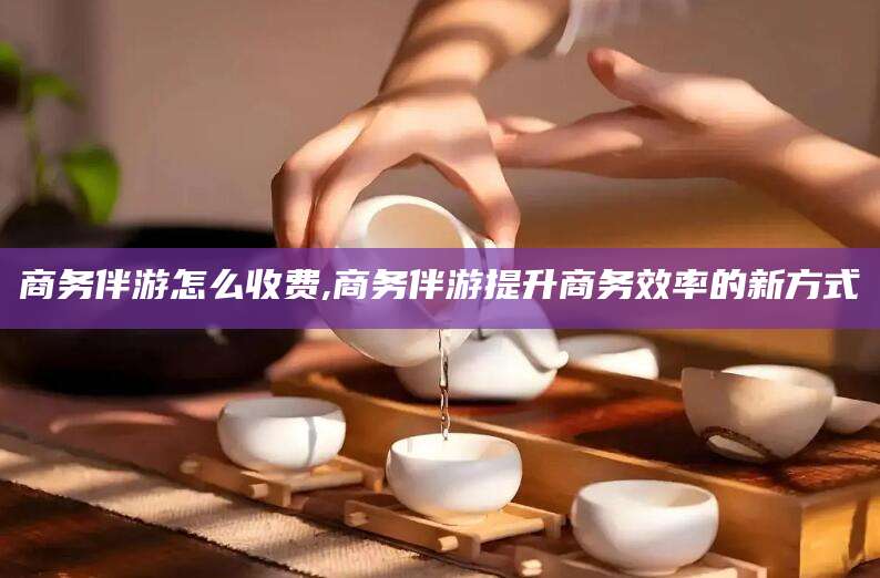邹城商务伴游怎么收费,商务伴游提升商务效率的新方式