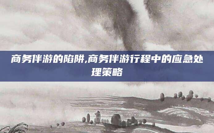 邹城商务伴游的陷阱,商务伴游行程中的应急处理策略